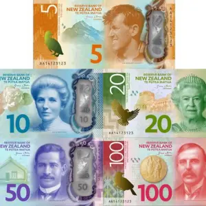NEW ZEALAND DOLLAR